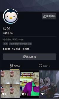 小视频在线视频,在线视频的精彩瞬间回顾