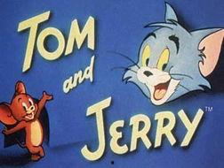 猫咪精品综合在线视频,萌宠瞬间，治愈心灵