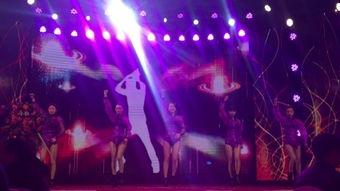 欧美sm在线视频蜘蛛,揭秘隐秘网络世界