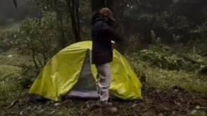 野营松雪在线视频,探寻自然之美，共赴冬日露营之旅