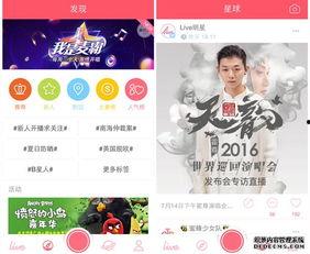 户在直播在线视频,揭秘在线视频观众的沉浸式体验之旅